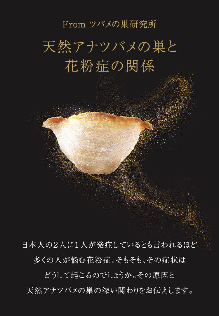 BI-SU酵素スティック | 天然高級ツバメの巣【BI-SU】