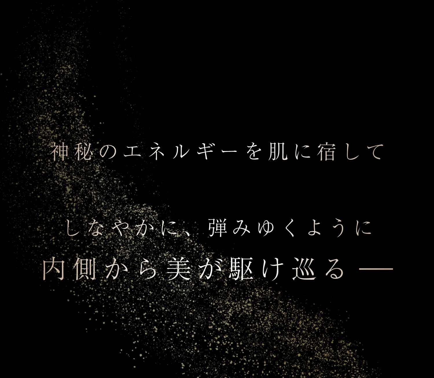 InfisialCream2024 ｜ 天然高級ツバメの巣【BI-SU】