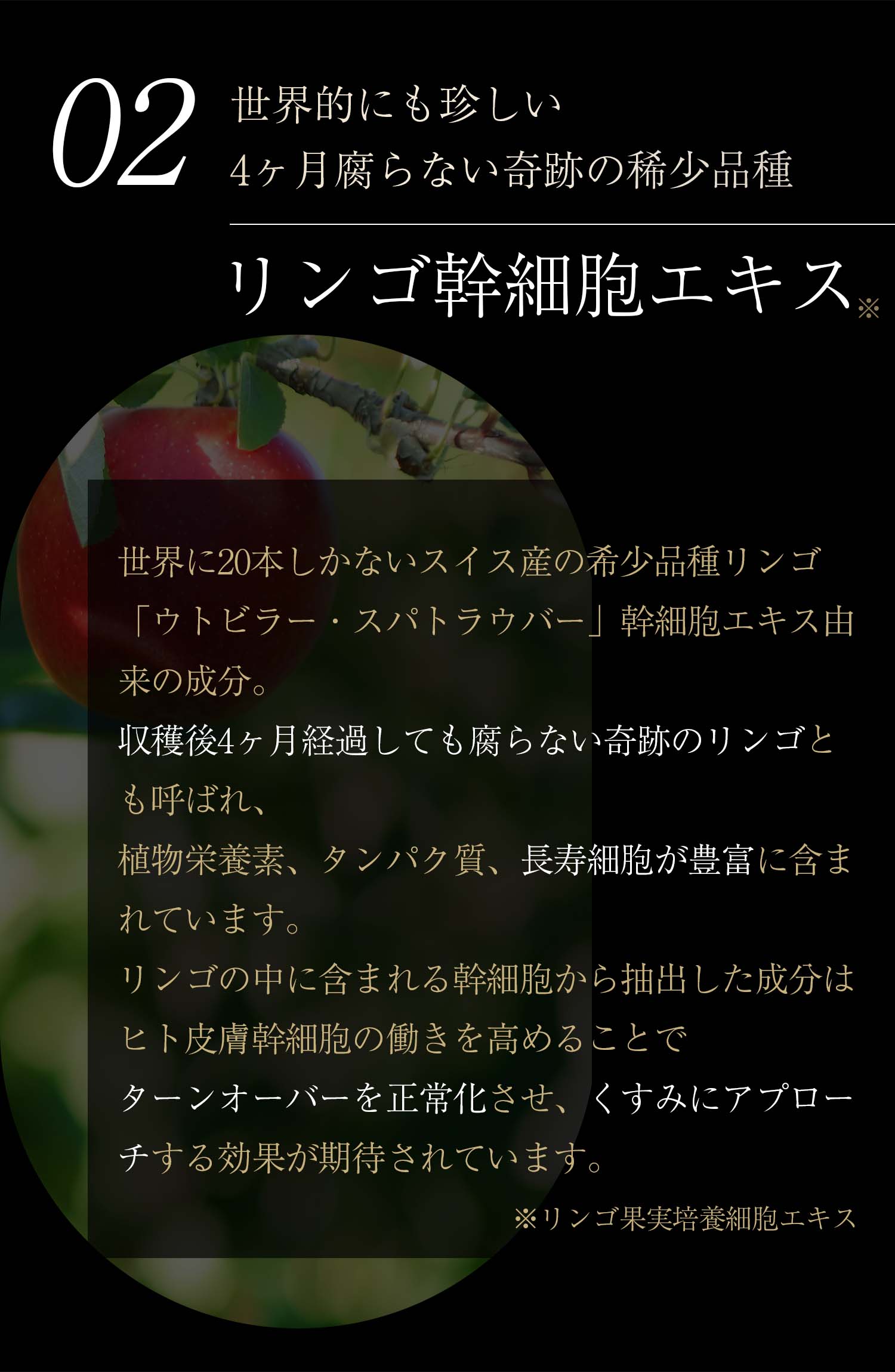 InfisialCream2024 ｜ 天然高級ツバメの巣【BI-SU】