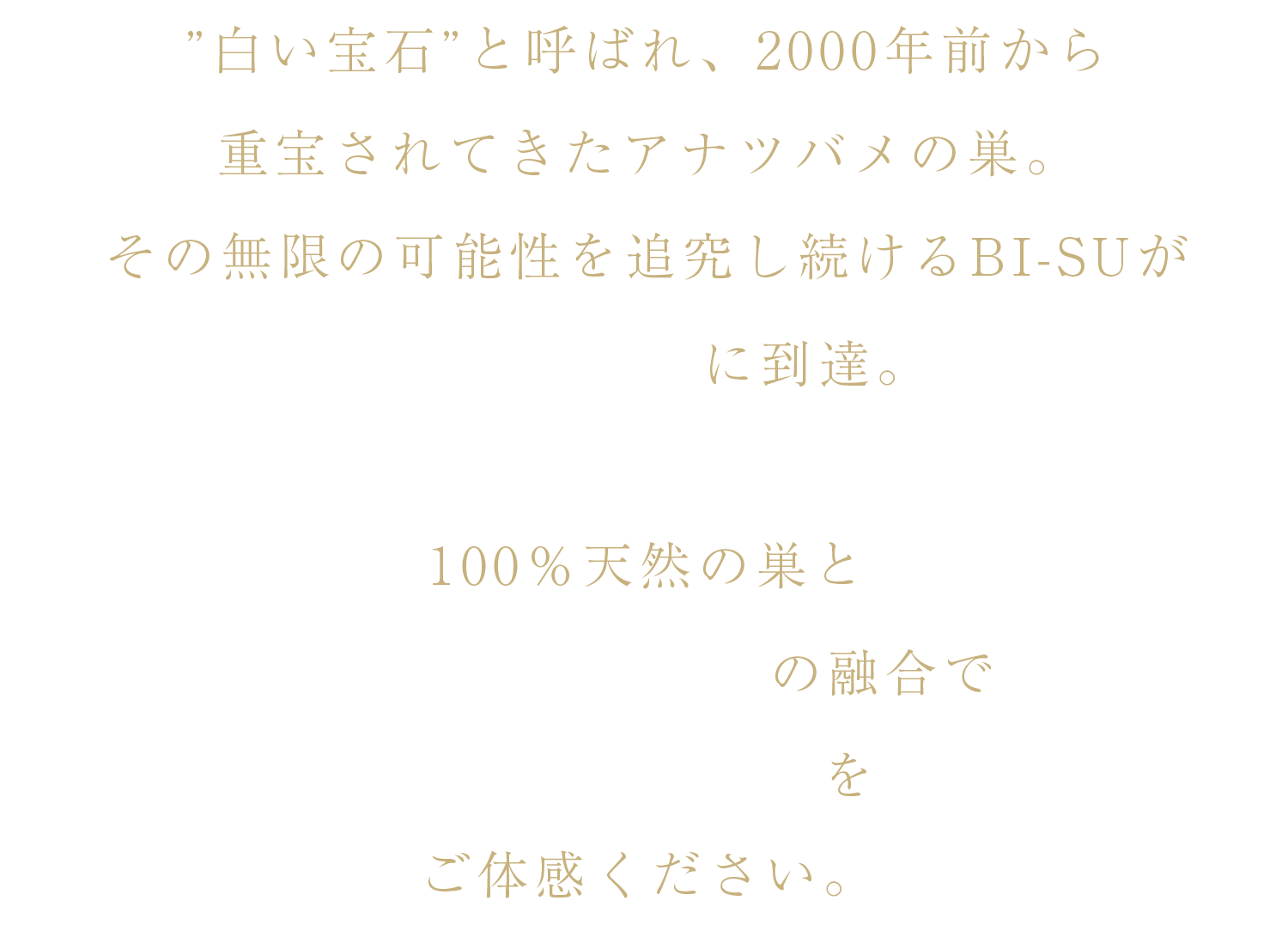 ✨期間限定価格✨BI-SUフェイスマスク／インフィシアルクリーム試供品１０セット 45715765300563set.jpg